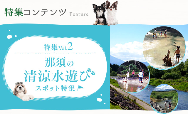 特集コンテンツ ワンコネット那須 愛犬 ペットと一緒に楽しめる那須高原の旅行情報 宿ペンション情報が満載