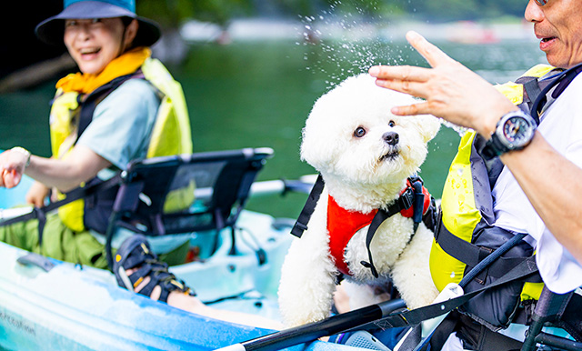 ワンコネット那須 愛犬 ペットと一緒に楽しめる那須高原の旅行情報 宿ペンション情報が満載